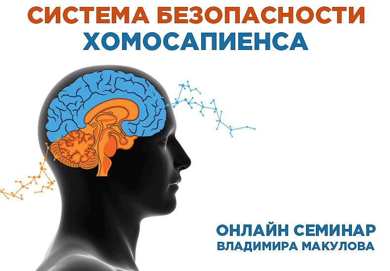 [Владимир Макулов] Система безопасности хомосапиен_0.png